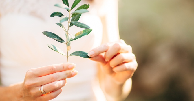 What Is Relationship Counselling? How Therapy Can Heal and Strengthen Your Connection