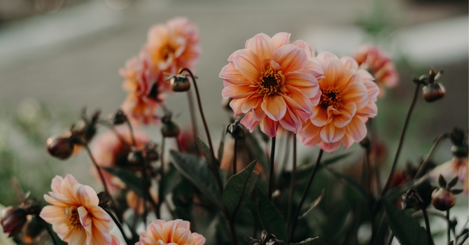 What Is Relationship Counselling? How Therapy Can Heal and Strengthen Your Connection