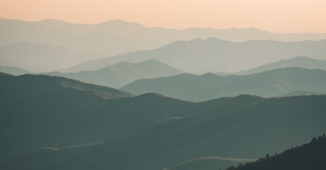 Free - New Client Consultation