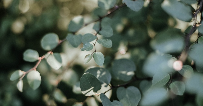 What Is Relationship Counselling? How Therapy Can Heal and Strengthen Your Connection